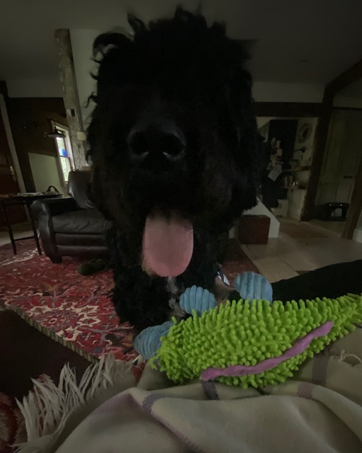 While Momma is Away …