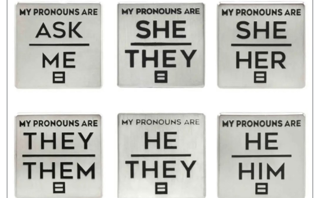 Pronouns and Fuddy Duddys
