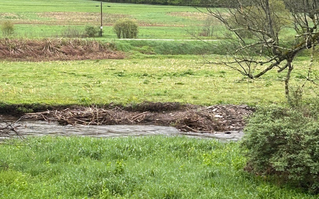 The World is So Beautiful